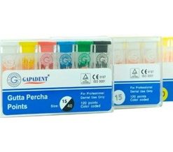Conos de Gutapercha